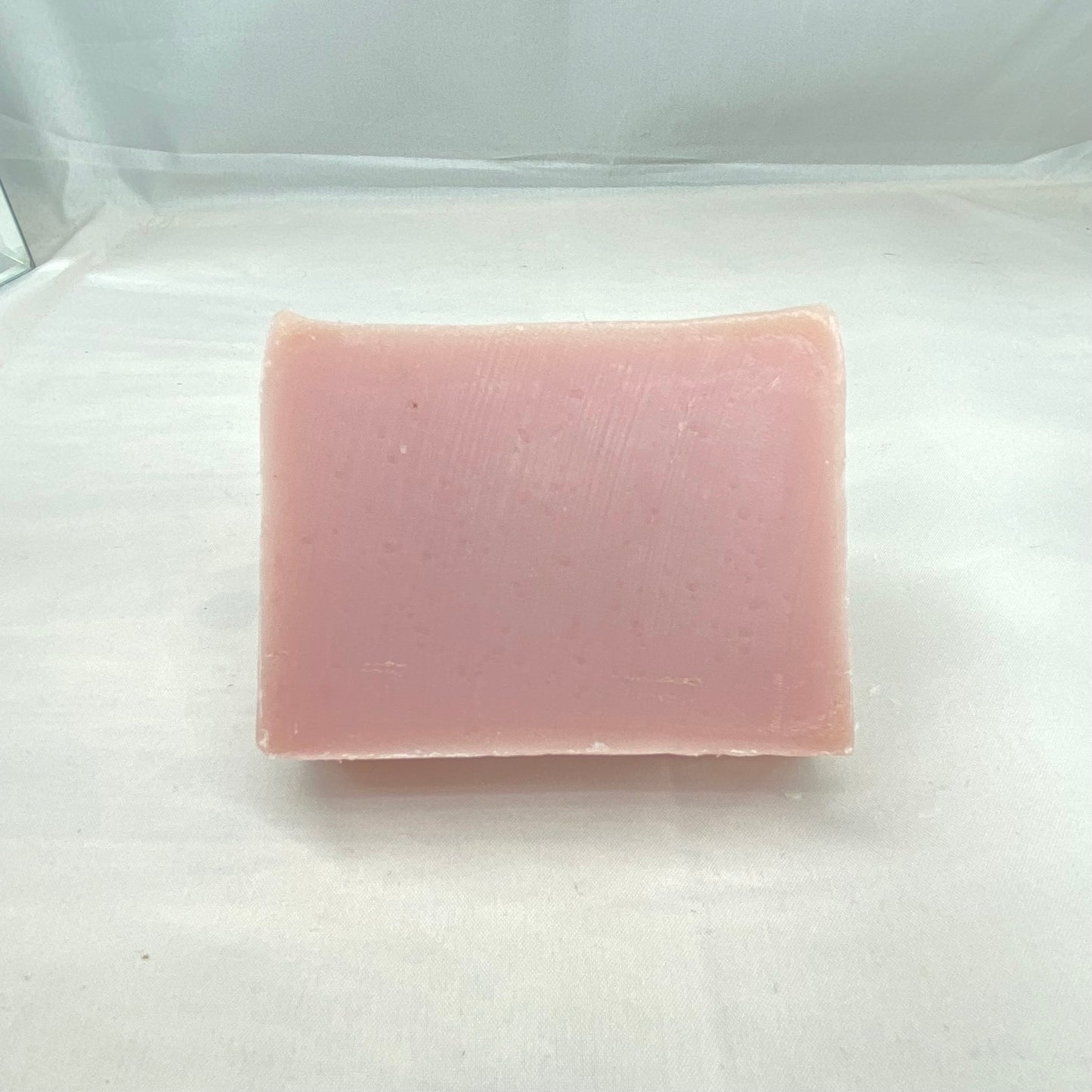 Pink Mimosa